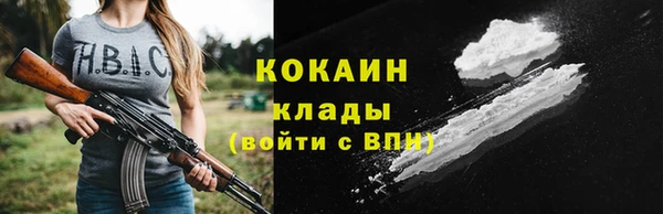 гидра Абаза