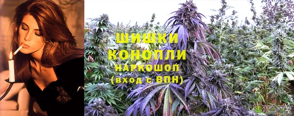 гидра Абаза