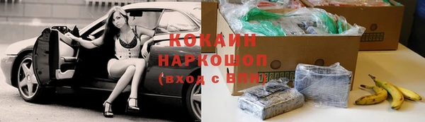 индика Абинск