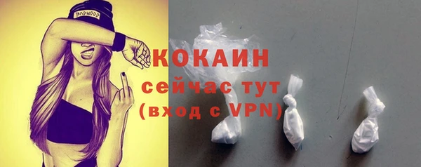 индика Абинск