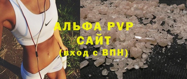 гидра Абаза