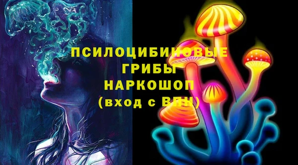 спиды Алексин