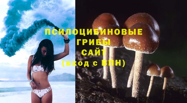 ешки Алзамай