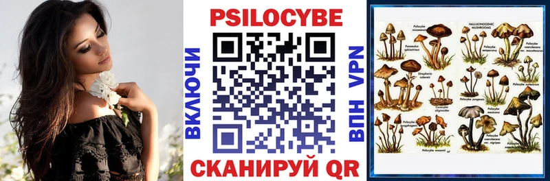 Галлюциногенные грибы прущие грибы  Новомичуринск 